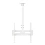 Part King White TV Ceiling Mount Bracket 32" 40" 42" 43" 49" 50" 55" 60" LED TV VESA 400x400